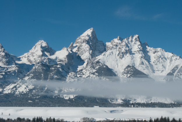 BrittanyReece-FoggyTetons-0319