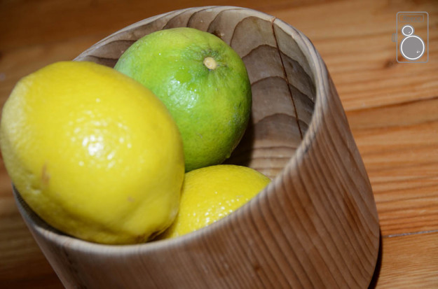 BrittanyReece-lemons