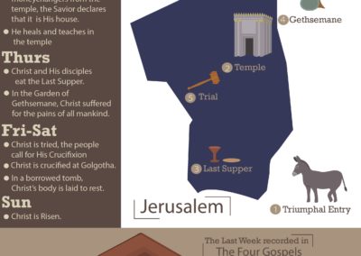 New Testament Infographic